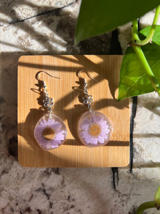 Perfect Purple Daisy Earrings💜 💮